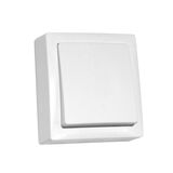 Wallmounted Light Switch IP20 10A 230V 1gang 2way White