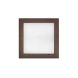 Wall mounted Lighting Fitting Square 9733 IP54 16Led 230V grained rust frame warm White