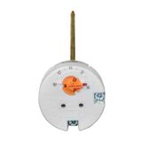 Thermostat for water heater 2contact long with clip