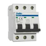 Rail Circuit Breaker 3module 3P 10A type K