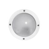 Wall/ceiling Aluminum Round light 9721 IP54 G9 230V white body frosted glass