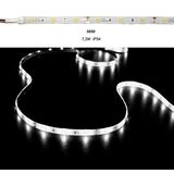 ΤΑΙΝΙΑ LED 5m 12VDC 7.2W/m 5050 30LED/m ΨΥΧΡΟ 6500K IP54 ECO