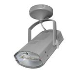 Aluminum oval indoor Projector HQI Rx7s 150W grey