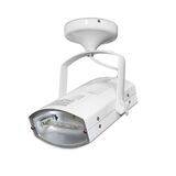 Aluminum oval indoor Projector HQI Rx7s 150W white