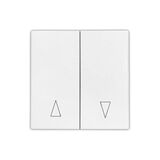 Shutter control switch 2way gangs white, without mechanism, without frame