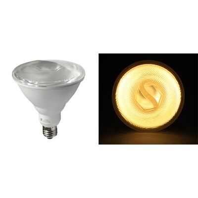 Energy saving lamp hard coated glass PAR38 42VAC E27 18W 2700K warm white