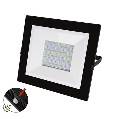 ΠΡΟΒΟΛΕΑΣ LED-SMD 100W ΦΩΤΟΚΥΤΤΑΡΟ 4000Κ IP65 MAYPΟΣ