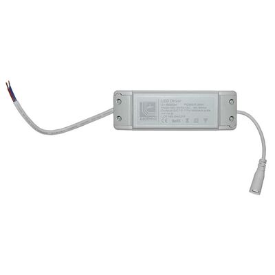 Driver For Led Down Lights 30W D:220mm