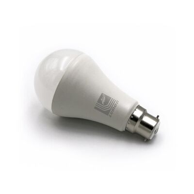 Led A65 B22 Matte 230V 15W Warm White