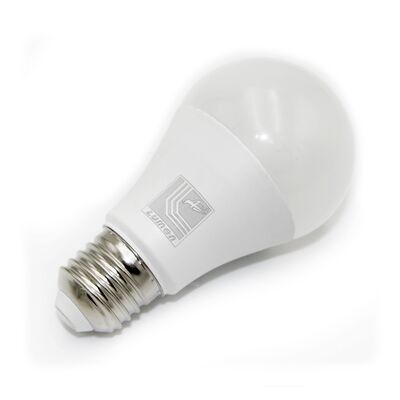 Led A70 Matte E27 12/24V AC/DC 15W Cool White