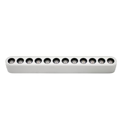 LED ΦΩΤΙΣTIKO ΡΑΓΑΣ ΜΙΝΙ 12W 40VDC 36° 3000K ΛΕΥΚΟ
