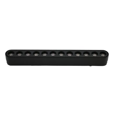 LED ΦΩΤΙΣTIKO ΡΑΓΑΣ ΜΙΝΙ 12W 40VDC 36° 4000K ΜΑΥΡΟ