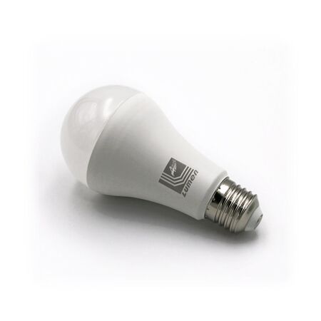 Led A70 E27 Matte 230V 20W Warm White