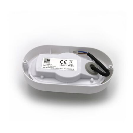 Led bulkhead wallmounted light oval PP base, PC cover,IP54 8W 160x90x51mm 230V 4000k white