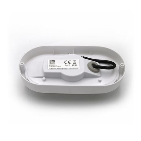 Led bulkhead wallmounted light oval PP base, PC cover,IP54 12W 205x105x54mm 230V 4000k white
