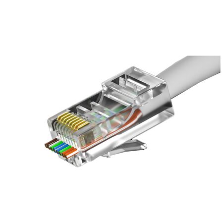 Network plugs CAT6 transparent