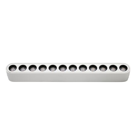 LED ΦΩΤΙΣTIKO ΡΑΓΑΣ ΜΙΝΙ 12W 40VDC 36° 4000K ΛΕΥΚΟ